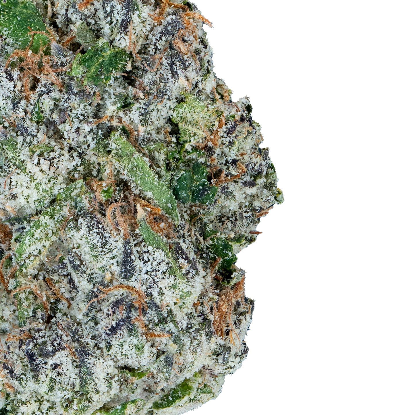 Alien ET - THCa Flower